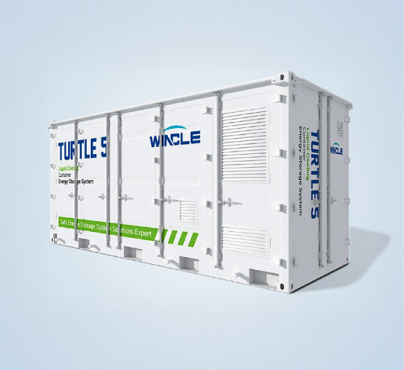 Albufera wincle turtle 5